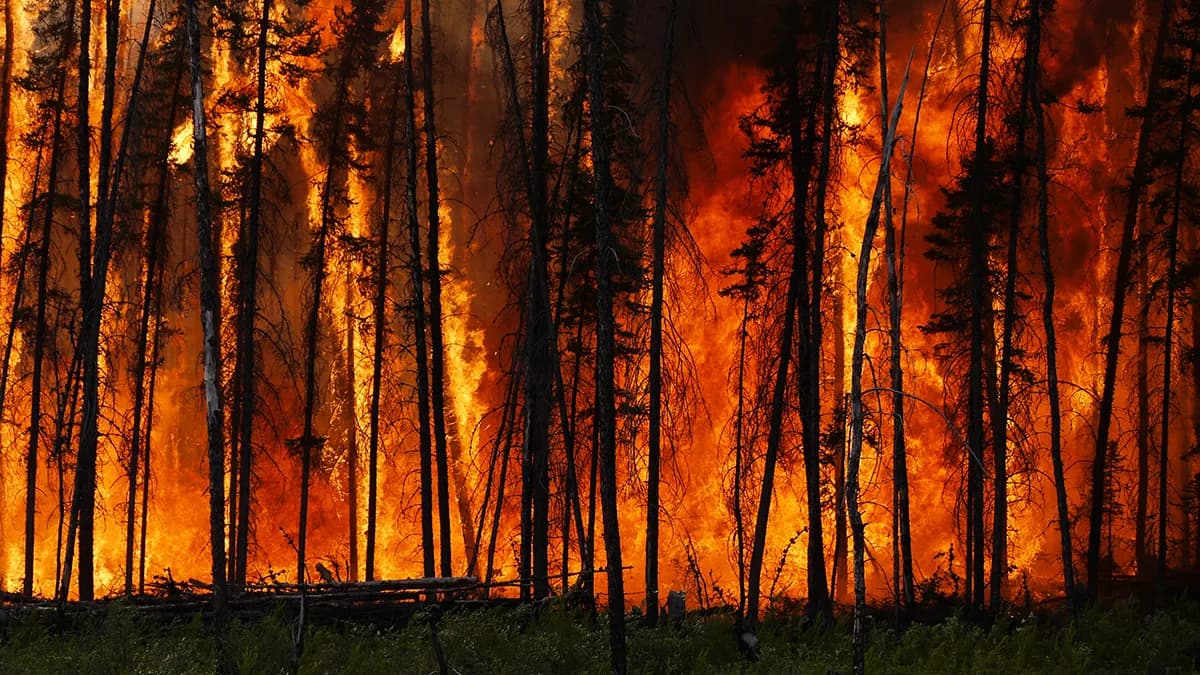 Wildfires